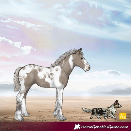 Horse Color:Silver Smoky Grullo Sabino Tobiano