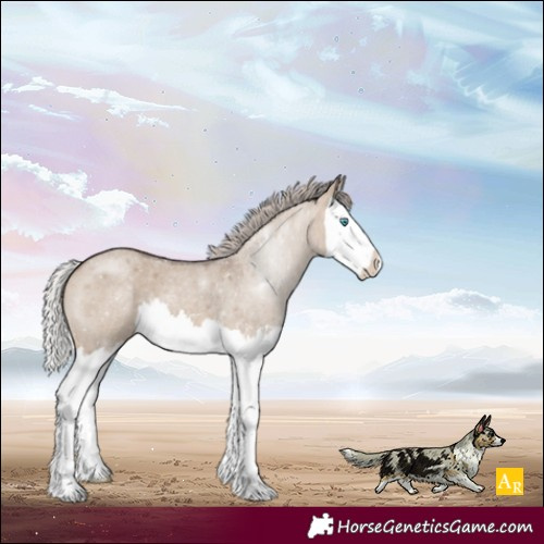 Horse Color:Silver Brown Roan Dun Sabino Splash 