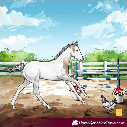 Horse Color:Silver Brown Onyx Sabino Splash Tobiano Varnish Rabicano