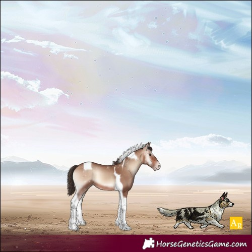 Horse Color:Amber Champagne Onyx Tobiano