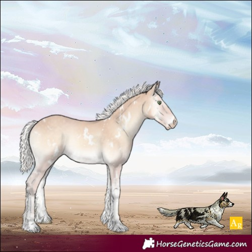 Horse Color:White Spotted Silver Perlino Onyx