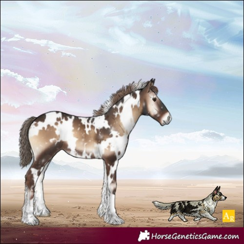 Horse Color:White Spotted Liver Red Onyx 