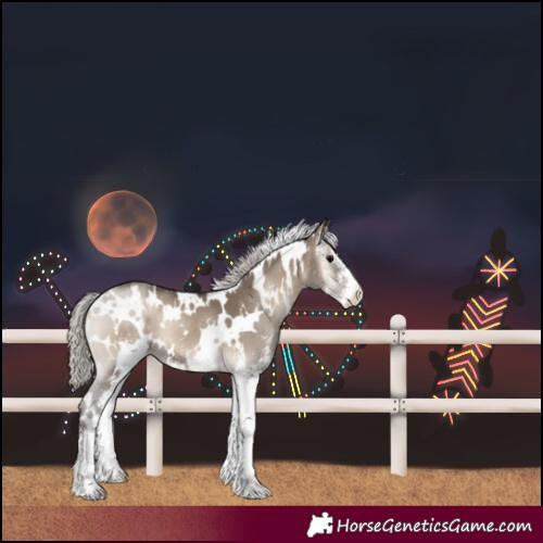 Horse Color:White Spotted Silver Grullo Onyx Sabino 