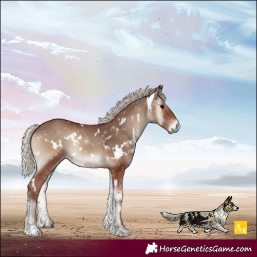 Horse Color:White Spotted Silver Blue Onyx 