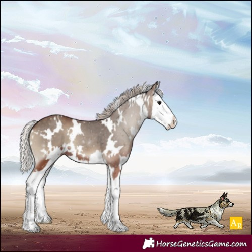 Horse Color:White Spotted Silver Blue Onyx Splash