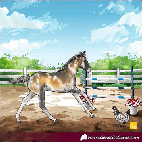 Horse Color:White Spotted Silver Buckskin Onyx 