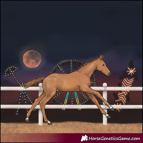 Horse Color:Chestnut Rabicano