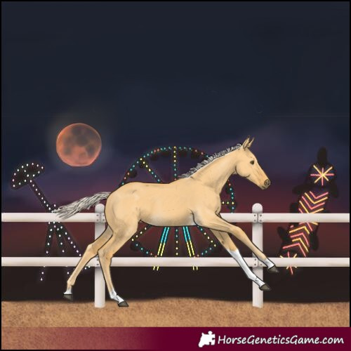 Horse Color:Palomino Dun Tobiano 