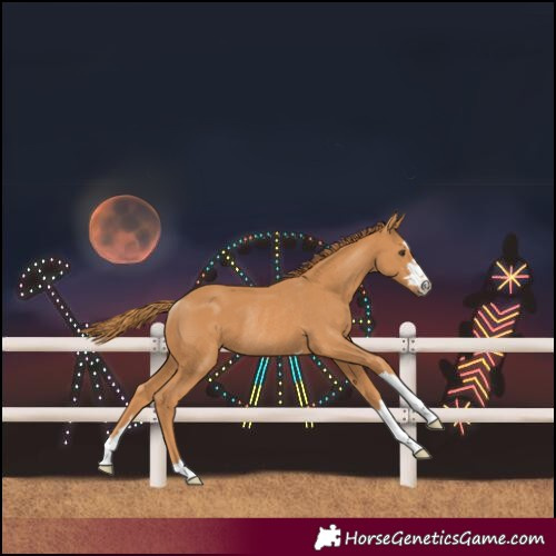 Horse Color:Chestnut Rabicano