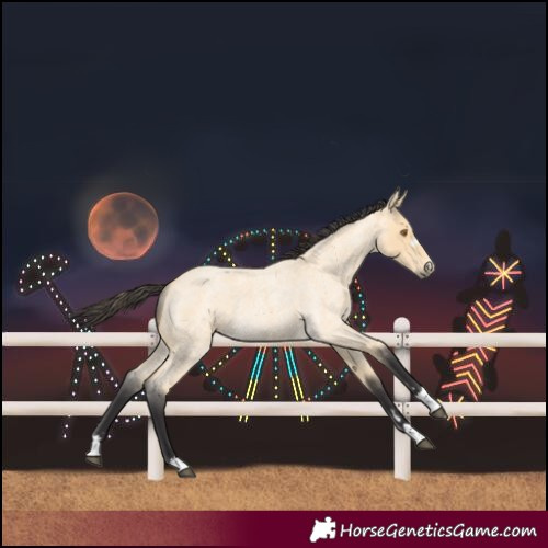 Horse Color:Buckskin Roan 