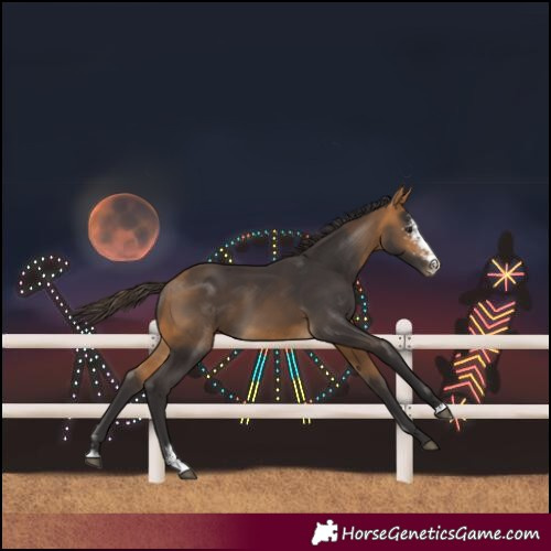 Horse Color:Buckskin Sabino 