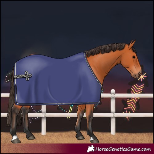 Horse Color:Bay Rabicano