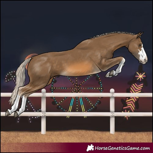 Horse Color:Chocolate Palomino 