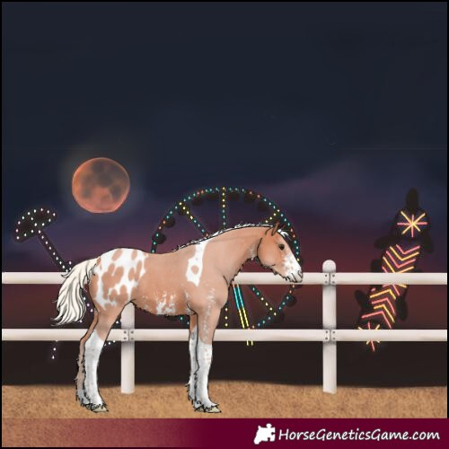 Horse Color:Silver Bay Sabino Tobiano Blanket Rabicano