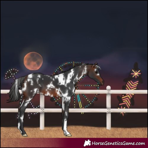 Horse Color:White Spotted Brown 