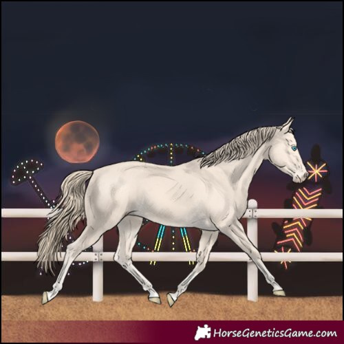 Horse Color:Perlino