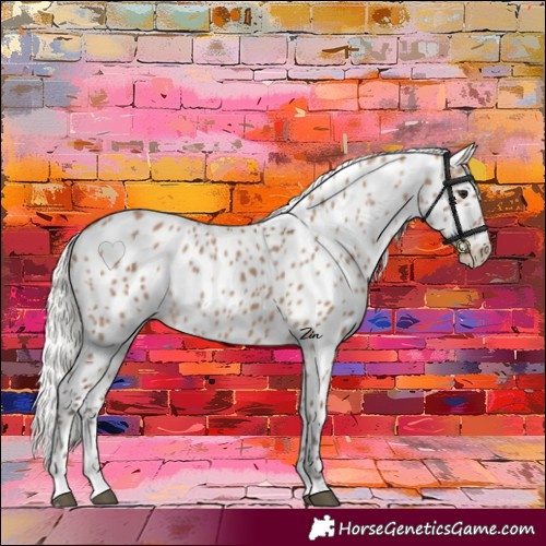 Horse Color:Silver Brown Dun Leopard 