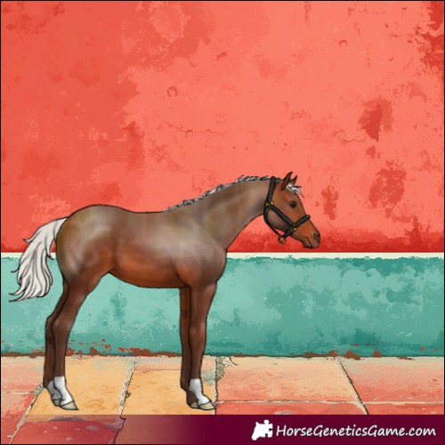 Horse Color:Silver Bay