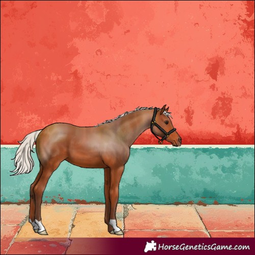 Horse Color:Silver Bay