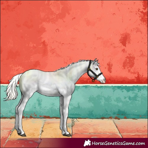 Horse Color:Palomino Dun Sabino 
