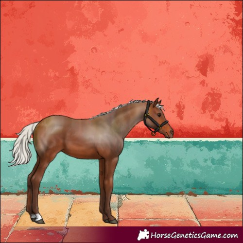 Horse Color:Silver Bay