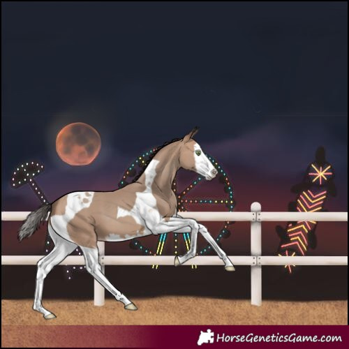 Horse Color:Sable Champagne Splash Tobiano
