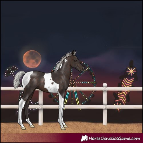 Horse Color:Silver Brown Tobiano