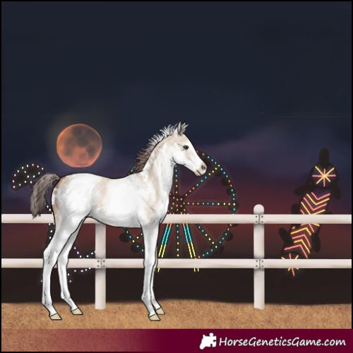Horse Color:White Spotted Classic Champagne Dun 