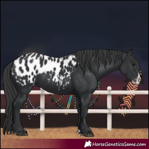 Horse Color:Black Splash Blanket 