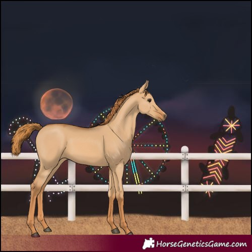 Horse Color:Red Dun 