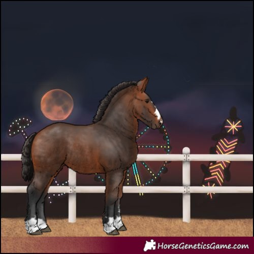 Horse Color:Bay Rabicano 
