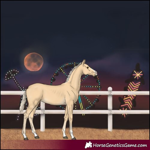Horse Color:Palomino