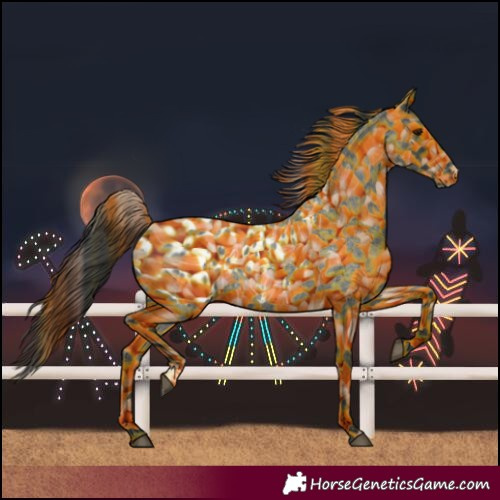 Horse Color:Blue Roan Near Leopard 