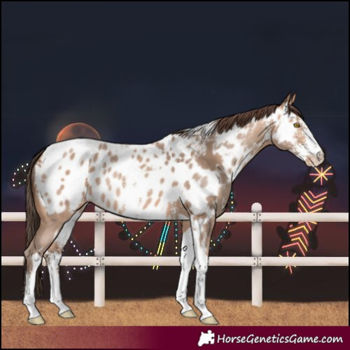 Horse Color:Amber Champagne Sabino Tobiano Blanket  and Amber Champagne Sabino Tobiano Blanket 