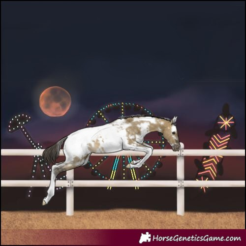 Horse Color:White Spotted Buckskin Dun Tobiano Snowcap 