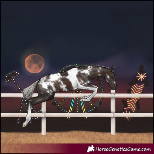 Horse Color:White Spotted Silver Brown Tobiano 