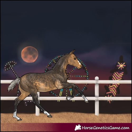 Horse Color:Silver Buckskin 