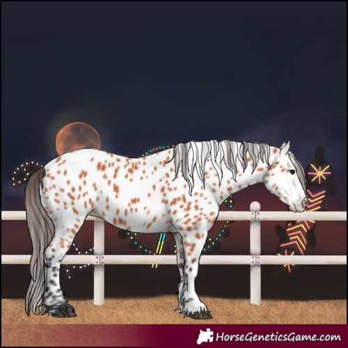 Horse Color:Bay Splash Leopard 