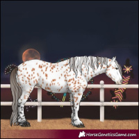 Horse Color:Bay Splash Leopard 