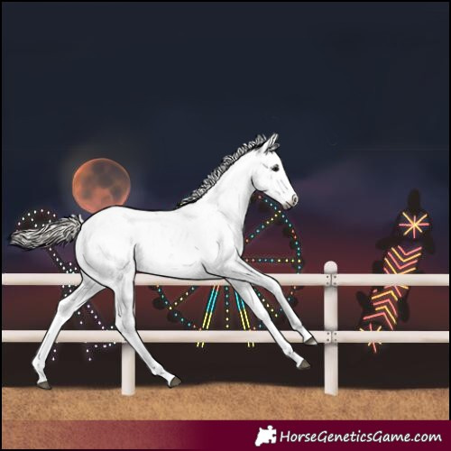 Horse Color:Gray Silver Black Sabino