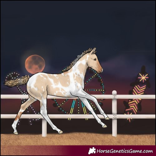 Horse Color:White Spotted Red Dun Tobiano