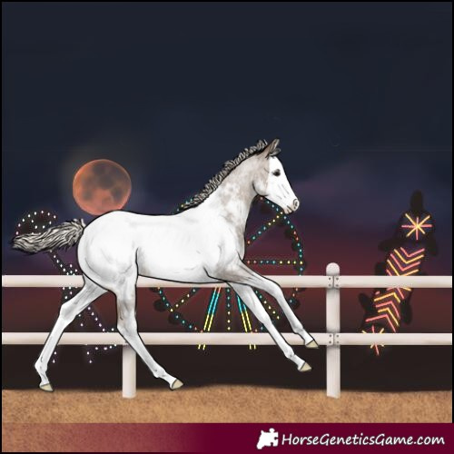 Horse Color:Silver Smoky Blue Roan Splash Near Fewspot 