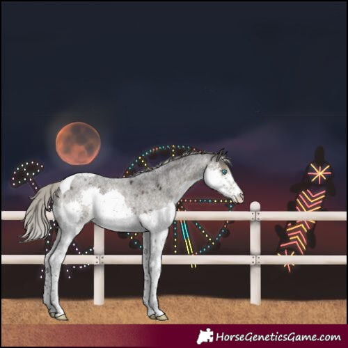 Horse Color:Silver Smoky Blue Roan Splash Tobiano 