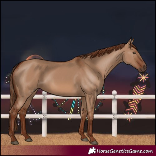 Horse Color:Red Dun