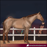 Horse Color:Red Dun
