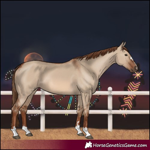 Horse Color:Red Dun 