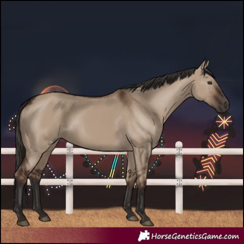 Horse Color:Liver Red Dun 