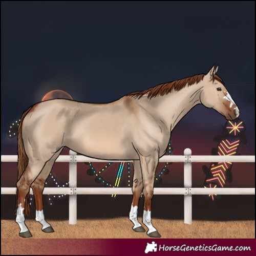 Horse Color:Red Dun 