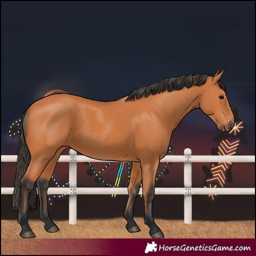 Horse Color:Unknown 