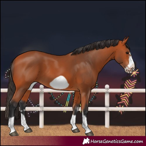 Horse Color:Bay Frame